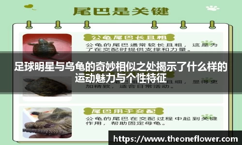 意昂体育4-数字娱乐技术创新平台